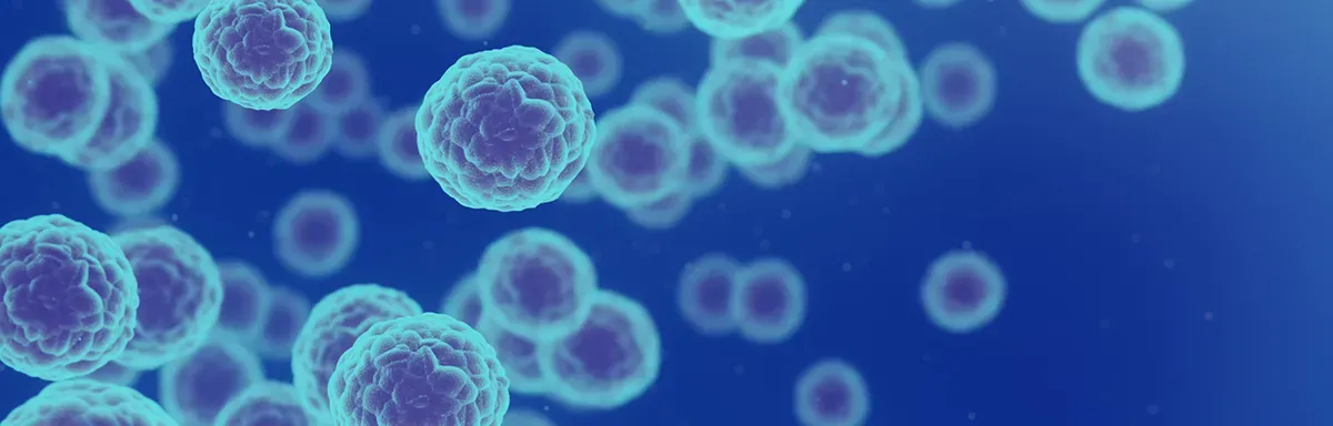 cancer cells