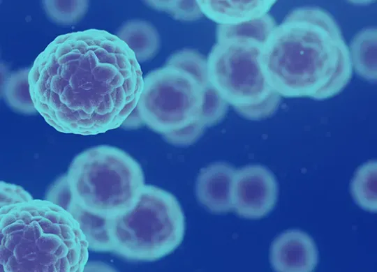 cancer cells